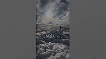 عسى ربنا ان يبدلنا خيرا منها | سورة القلم | شريف مصطفى