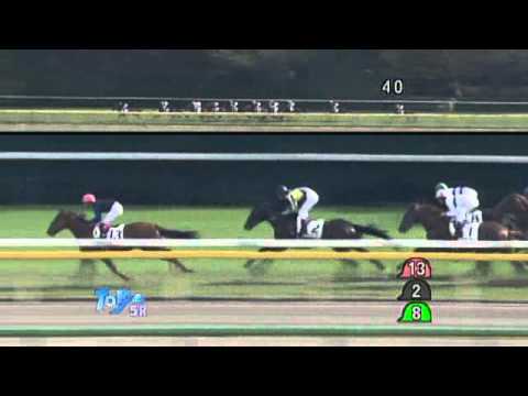 2011/11/12 東京5R メイクデビュー東京　アーカイブ　新馬戦