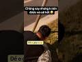 Hiệu quả phết 😂🤣 || J4F Animals #shorts #funny #meme #haihuoc #tiktok