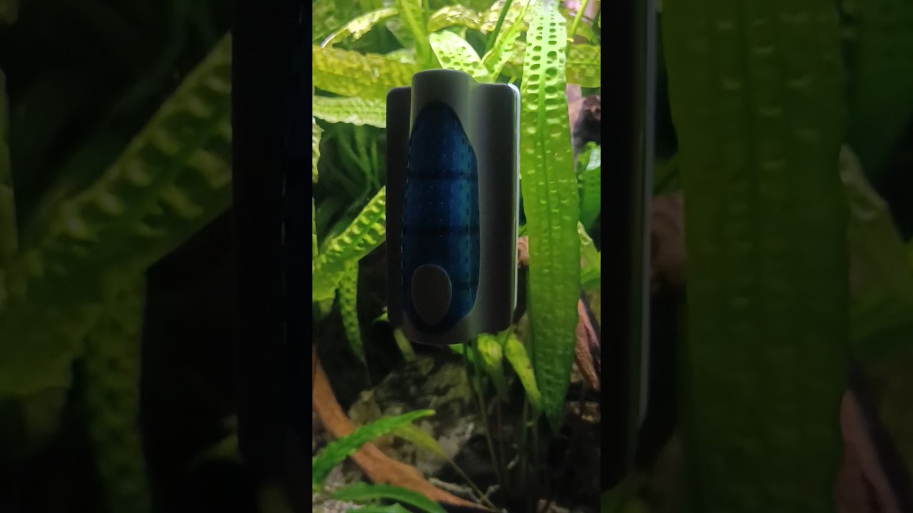 Aquarium Magnetic Glass cleaner.The ideal solution for the cleanliness of your Aquarium glass.