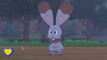 HOW TO GET Bunnelby in Pokémon Sword and Shield