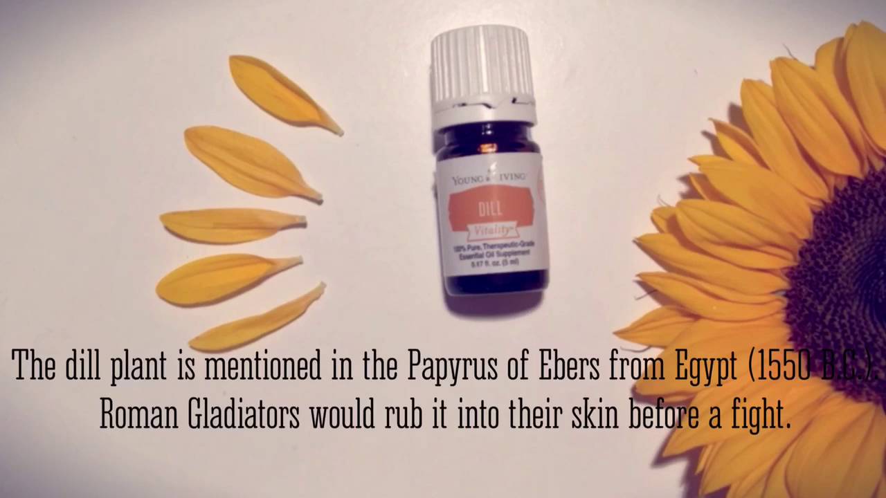 Dill Essential Oil by Young Living YouTube