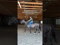 Like human athletes, racehorses also benefit from an “off-season” to rest, recover and improve.
