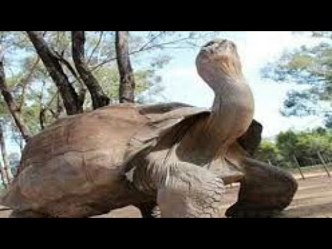 جميع قنوات الراديو المغربية