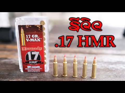 รีวิวกระสุน .17HMR
