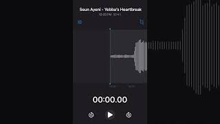 Seun Ayeni  Yebbas Heartbreak 