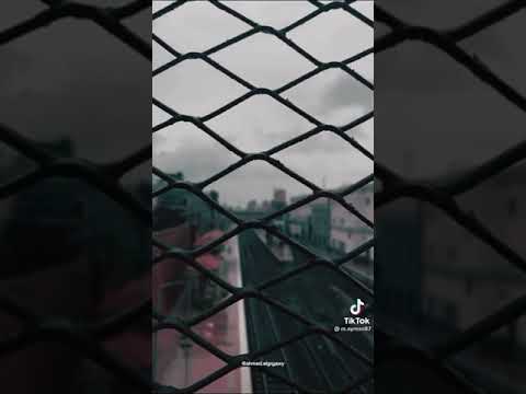 ايوه والهي يجدعان شيرو الفديو وليك واشتركو