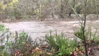 Carmel River at Carmel Valley Village - Camp Steffani