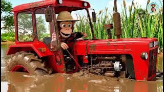 Monkey Drives the Tractor and Joins Friends to Harvest Fruit on the Farm🎉🐒 | Farm Life