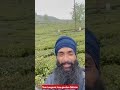 Temi Organic Tea Garden Sikkim Shorts Video Mantejrurki Cyclestmantejrurki Travel Cycling Temi Organic Tea Garden Sikkim Shorts Video Mantejrurki Cyclestmantejrurki Travel Cycling