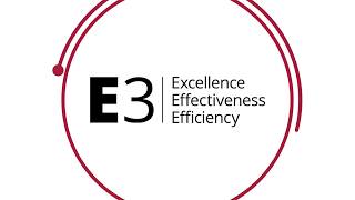 E3 - Excellence, Effectiveness, and Efficiency