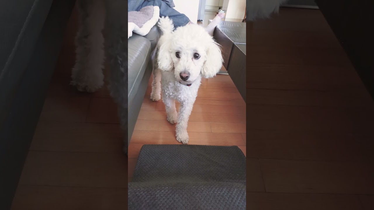 Sunday is a day to refuel your soul! 