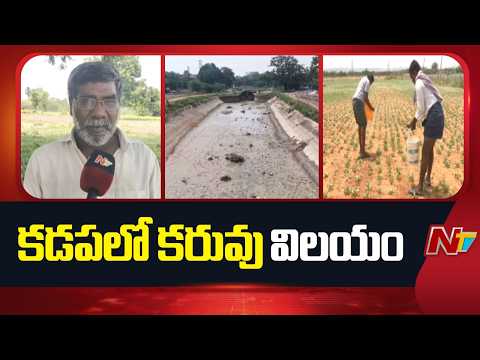 Kadapa Drought Crisis: కరువు కోరల్లో కడప జిల్లా రైతులు | NTV Telugu
