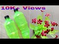 DIY plastic bottle  craft / how to reuse plastic bottle / @ShiRA Creative  World