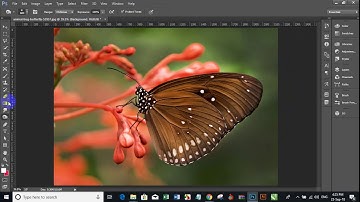 Photoshop Elements Dodge and Burn Tutorial