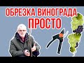 Как обрезать ВИНОГРАД / Простая обрезка / Игорь Билевич