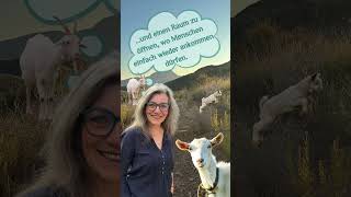Erdung mit Ziegen – was dein Herz im Jetzt findet 🐐✨ #zurückzurNatur