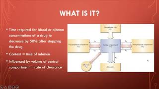 Celebrity Context-Sensitive Half-Time by Jennifer Garcia, MD Candidate Class of 2023 Profile