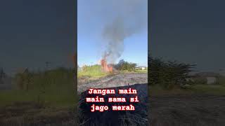 Menyala Benar Klo Ini