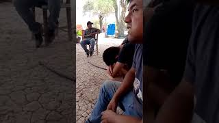 sangre chamamécera  en pozo la piedra departamento oran provincia de salta (5)