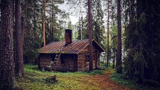 картинка: 🌳Где-то за лесом...🌳 Слова: Автор неизвестен 