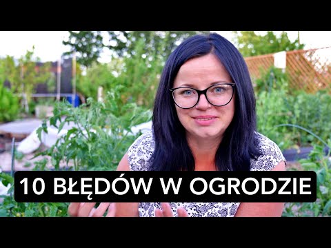 Wideo: Sadzonki: 10 Błędów Przy Uprawie