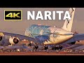 [4K] Sunset plane spotting 2023 - Tokyo Narita International Airport / 成田空港