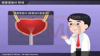 [시연용] b0033abko 축약판 방광경검사 안내