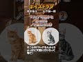 ノラ猫がマフィアみたいな会話してる 02「山下誠一郎・鈴木裕斗」  #shorts