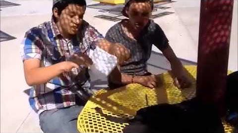 Pre-Calculus Project (Vector Song)