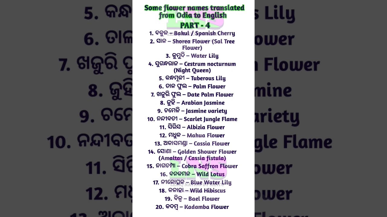 Some flower names translated from Odia to English | flower translation 
