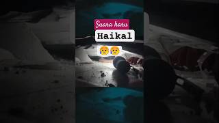 Download Lagu Suara H4ikal#shortsviral #stroywaindonesia #storyharian #masukberanda #basarnas MP3 Download Lagu Suara H4ikal#shortsviral #stroywaindonesia #storyharian #masukberanda #basarnas MP3