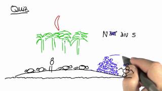 Coconuts 1 - CS373 Unit 2 - Udacity