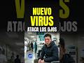 NUEVO VIRUS SALTA Y ATACA LA VISTA