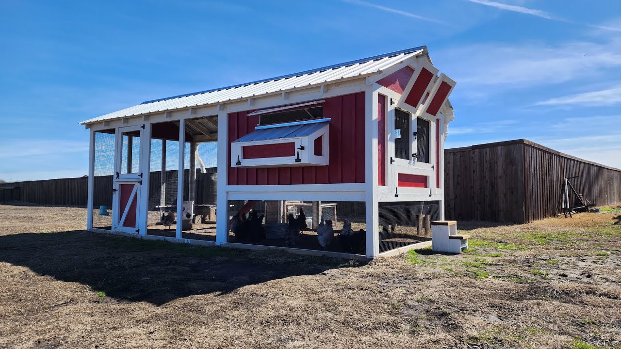 Low Maintenance Chicken Coop YouTube
