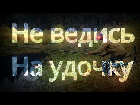 Заработать реальные деньги без вложений ! Бинарные Опционы - Binomo. Заработать реальные деньги без вложений ! Бинарные Опционы - Binomo.