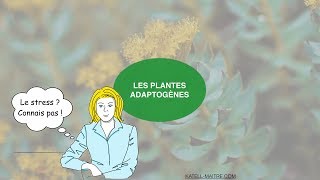 Quelle plante pour rester zen ?