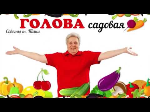 Голова садовая Как хранить ЛУК. ВАЖНО!