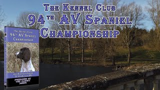 The 94Th Av Spaniel Championship - Preview