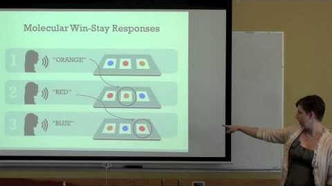 Teaching Receptive Language Skills to Young Children with ASD