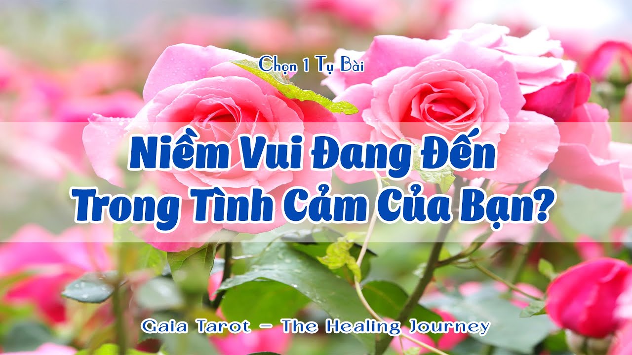 Niềm Vui Đang Đến Trong Tình Cảm Của Bạn?