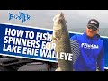 How to fish spinners for lake erie walleye