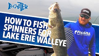How to Fish Spinners For Lake Erie Walleye