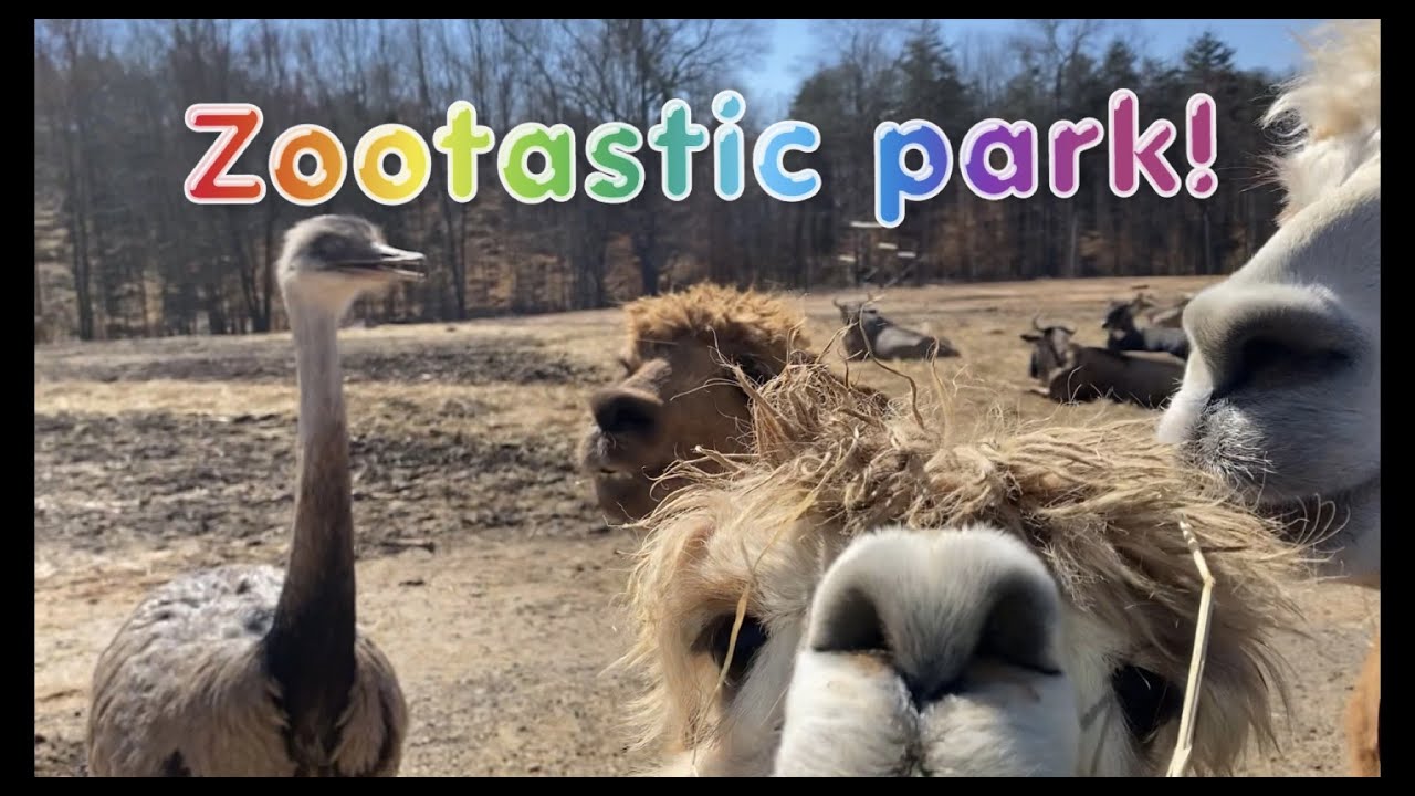 Zootastic Park Troutman NC YouTube