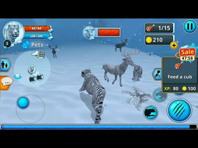 DESSA VEZ SOU UM TIGRE DA NEVE - WHITE TIGER FAMILY SIM ONLINE