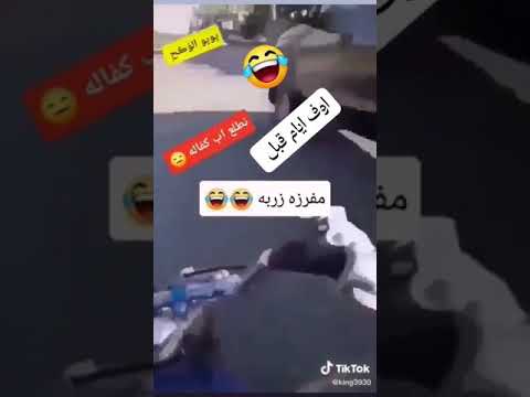 اقوا فصله بلعالم على الشرطه نامه 2021 جديد لايك وشتراك