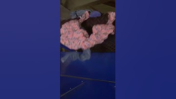 Sysav Sorting system