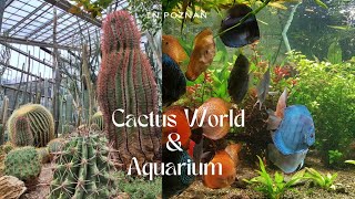 Have you ever seen Cactus 🌵 World 🌎 #vlog #poland #ytvlog #europe #poznań #phd #europetravel #travel