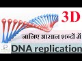 DNA replication in hindi/डीएनए द्विगुणन /डी एन ए प्रतिकृति/ डी एन ए रिप्लिकेशन , molecular structure