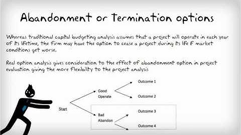 types of real option(final)